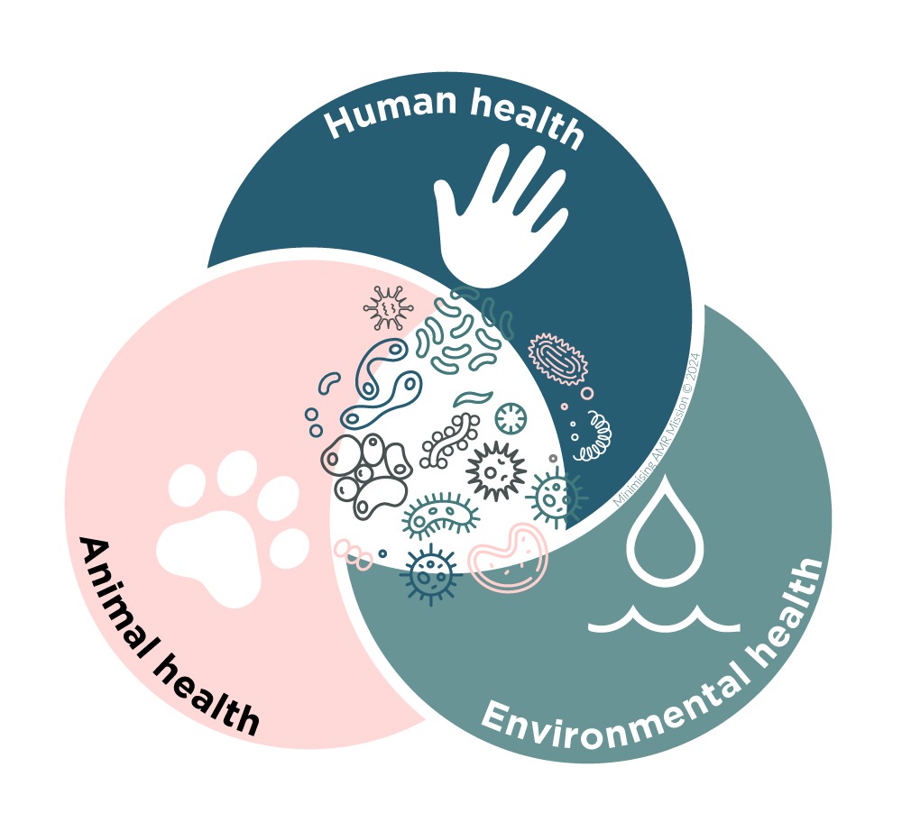 One Health infographic, showing intersecting sectors of human, animal and environmental health, and the microbes that can transfer between them.