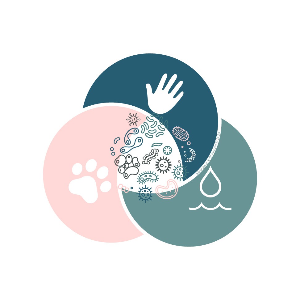 One Health infographic style diagram showing the overlapping sectors of human, animal and environmental health.