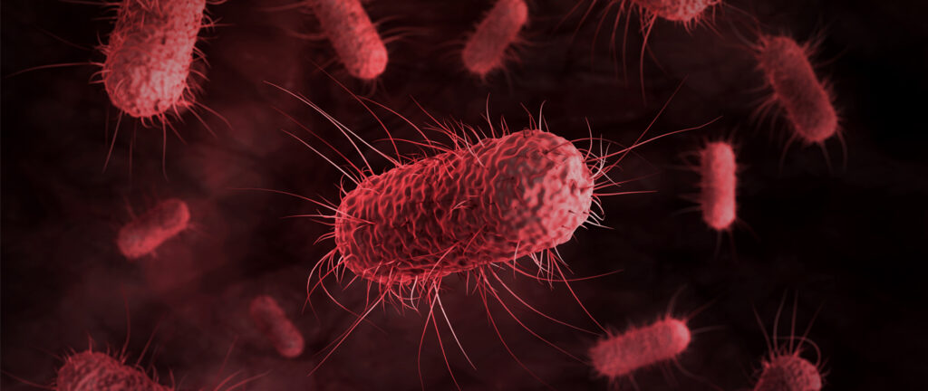 Escherichia Coli rendering