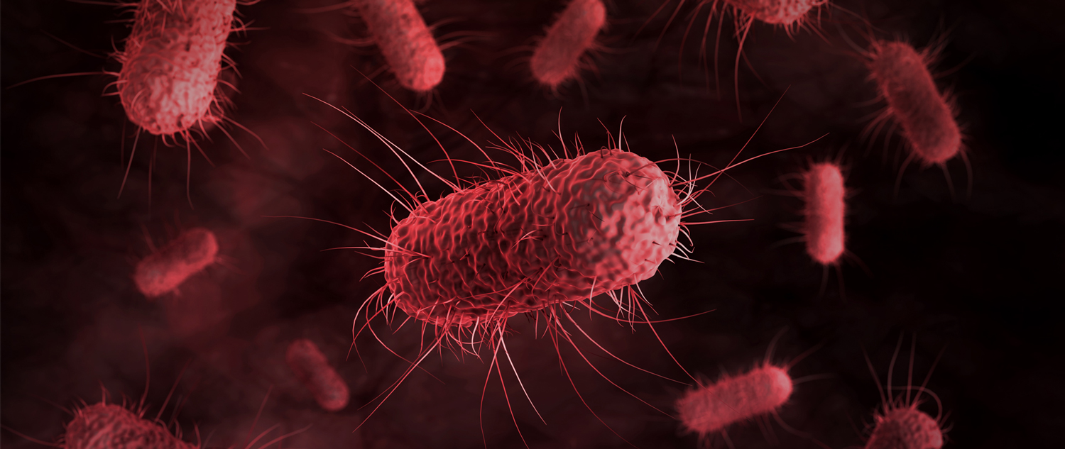 How do bacteria actually become resistant to antibiotics?