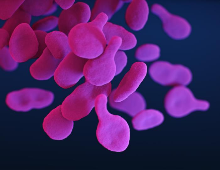 A common STI, the resistant mycoplasm genitalium