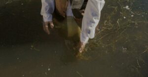 A person assessing water quality, standing in a lake with visible pollution.