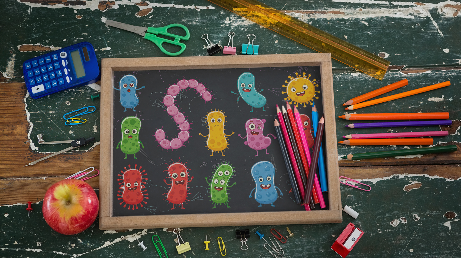 Schools could be the first line of defence against AMR