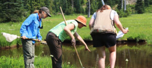 Citizen scientists join the fight against antimicrobial resistance