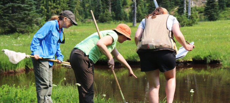 Citizen scientists join the fight against antimicrobial resistance