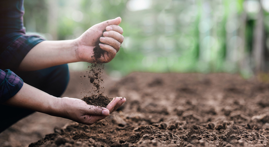 soil